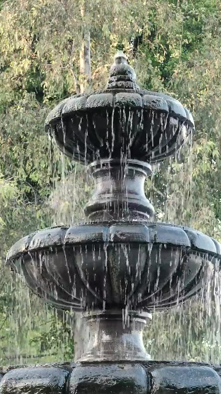 Garden & grounds