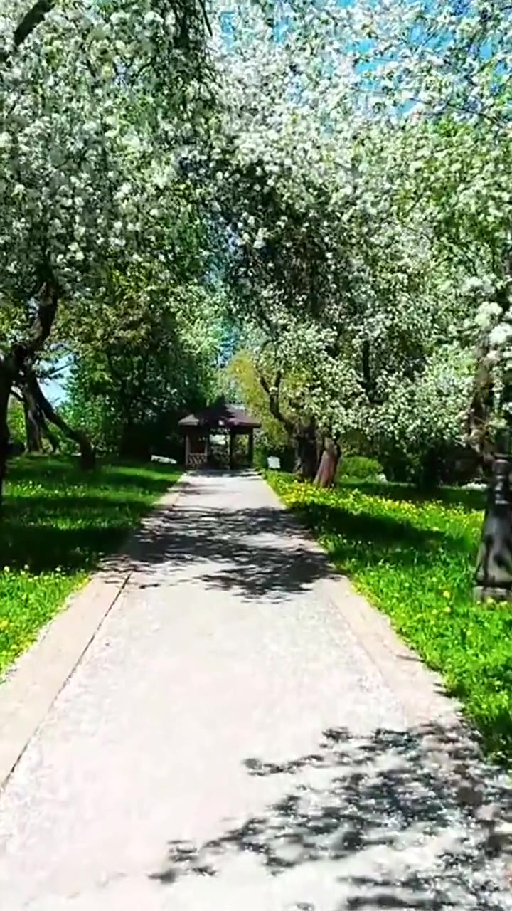 Garden & grounds