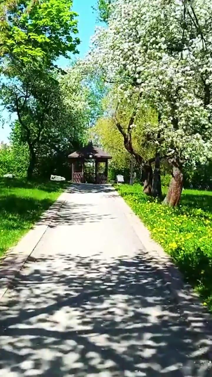Garden & grounds